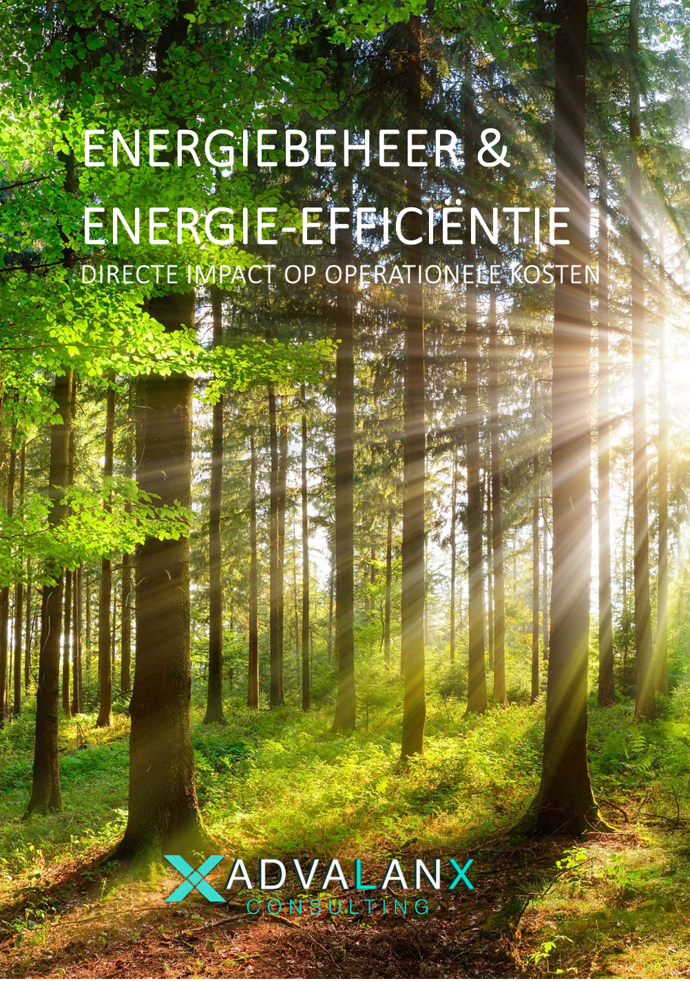 Whitepaper Energiebeheer